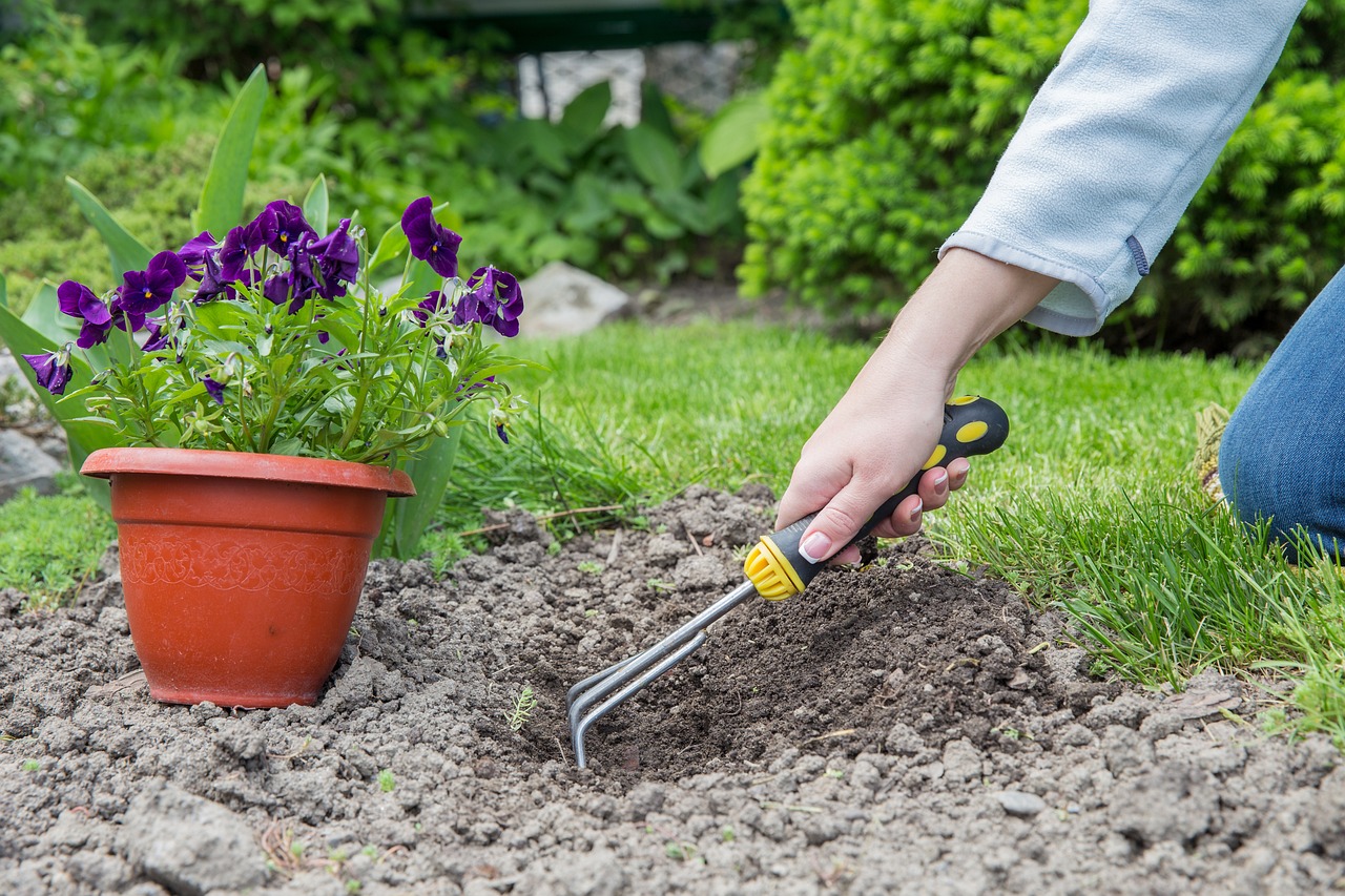 Planting a flower